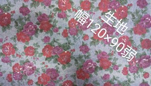 生地 幅120cm×90cm弱
