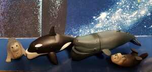 シャクレルプラネット　クジラ　シャチ　アザラシ　ラッコ　４種セット