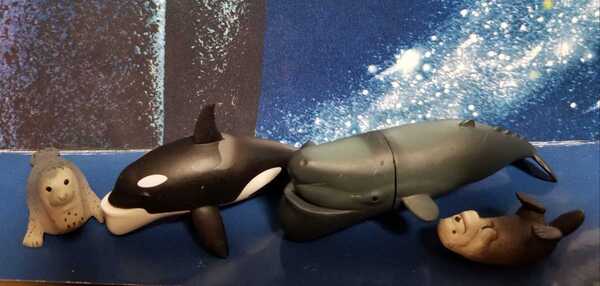 シャクレルプラネット クジラ シャチ アザラシ ラッコ 4種セット