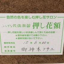 ☆未使用保管品　ふしぎな花倶楽部　押し花額　ハンドメイド　壁飾り　壁掛け　箱有り　_画像8