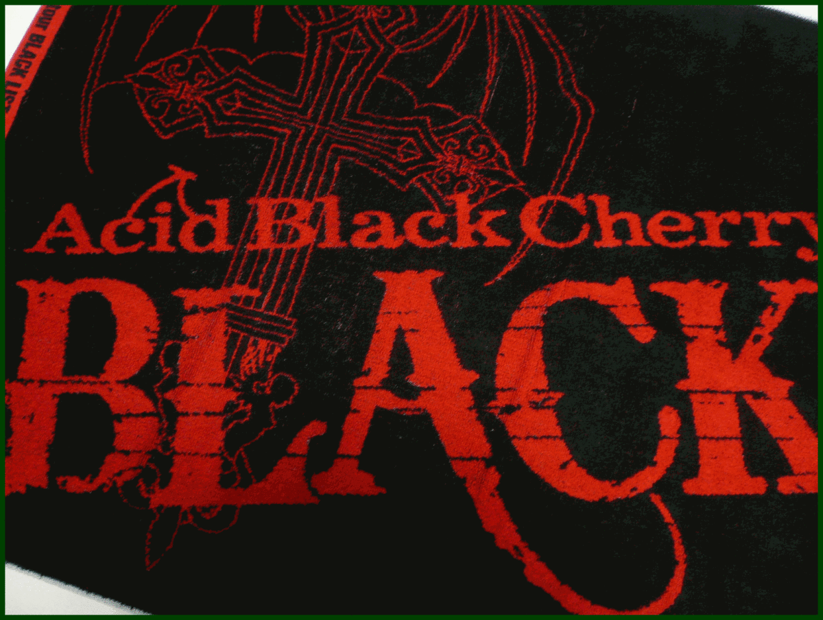 匿名配送】 AcidBlackCherry 初期フリーライブ バスタオル www.esole.eu