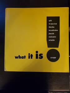 【LP盤】what it is LUV N' HAIGHT　レコード LP0059