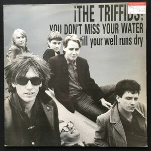 12inch THE TRIFFIDS / YOU DON'T MISS YOUR WATER