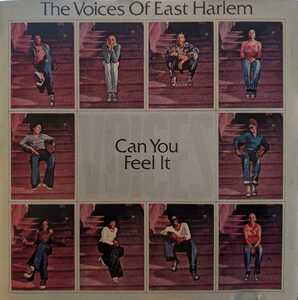 Y4-5【即決】ザ・ヴォイシズ・オブ・イースト・ハーレム / キャン・ユー・フィール・イット / PCD2908 / The Voices Of East Harlem