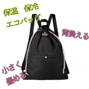 2920円→SALE★ cocorofrio ポータブル保冷エコバッグ リュック 背負える 畳める 入荷品 保温 保冷 リュック