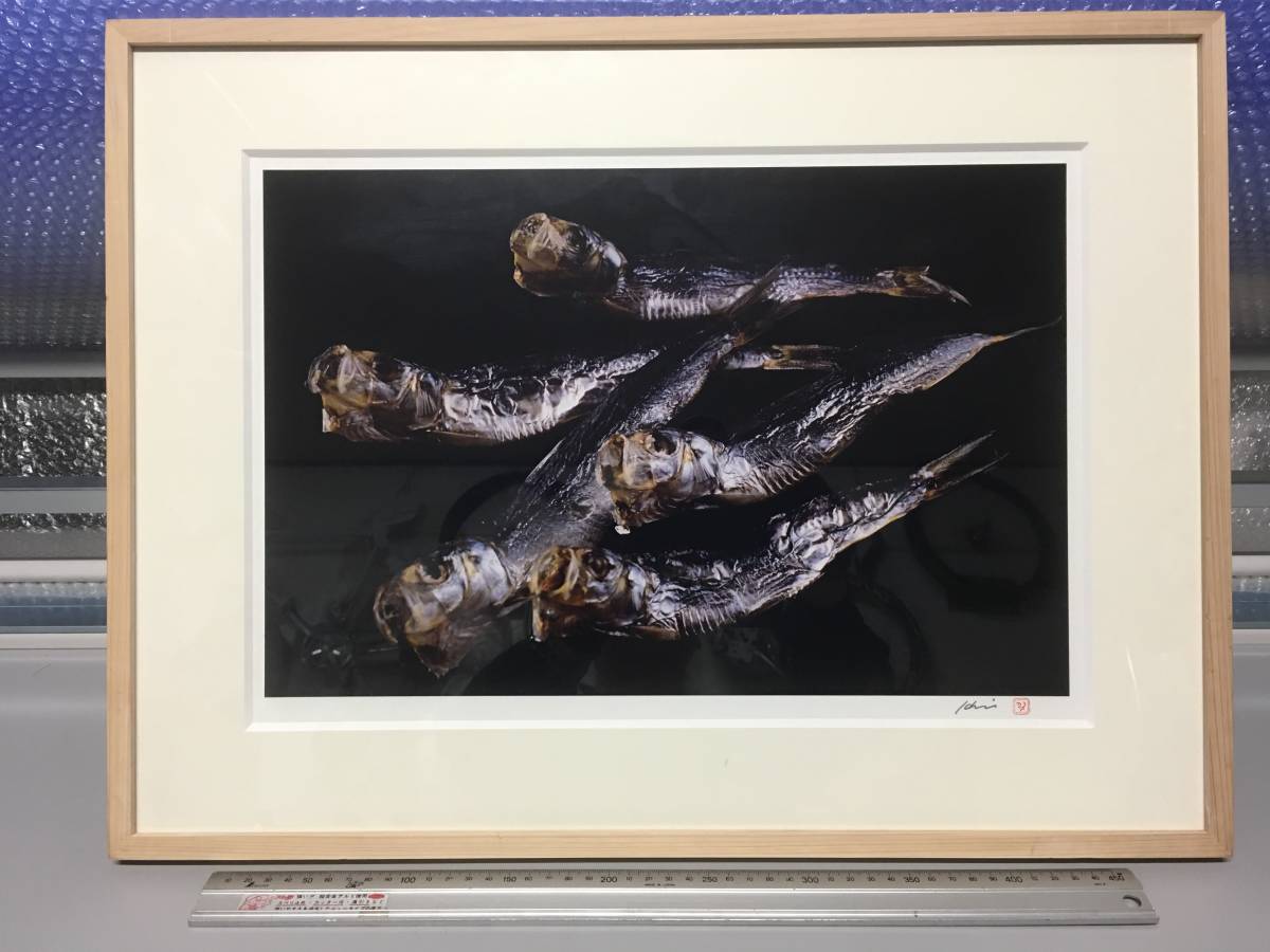 ヤフオク! -魚 絵画(映画、ビデオ)の中古品・新品・未使用品一覧