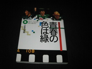  юность. цвет. зеленый Fuji Film мужчина . волейбол document 