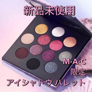 【限定品】新品未使用 MAC 限定 アイシャドウ パレット 12色