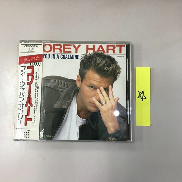 CD 中古☆【洋楽】コリーハート