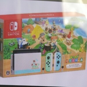 任天堂 Nintendo Switch あつまれ どうぶつの森セット