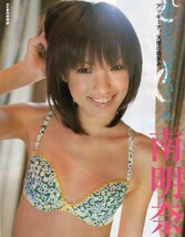 ::切り抜き 南明奈グラビア 小椋久美子 潮田玲子 沢尻エリカ 大橋未歩 平井理央_画像6