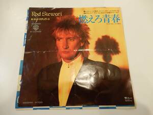 EP】！！送料140円！！）ロッド・スチュアート「燃えろ青春」ROD STEWART、Young Turks、1981