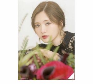 乃木坂46 【生写真】1枚 公式グッズ　白石麻衣　黒ワンピ　卒業　まいやん　完売品　限定品　卒コン　ヨリ　43