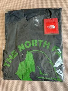 THE NORTH FACE 長袖Tシャツ