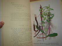 彩色写生図　日本の薬用植物　続　定価18000円_画像4