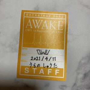 OWV AWAKE 浦野 秀太 バックステージ パス ステッカー