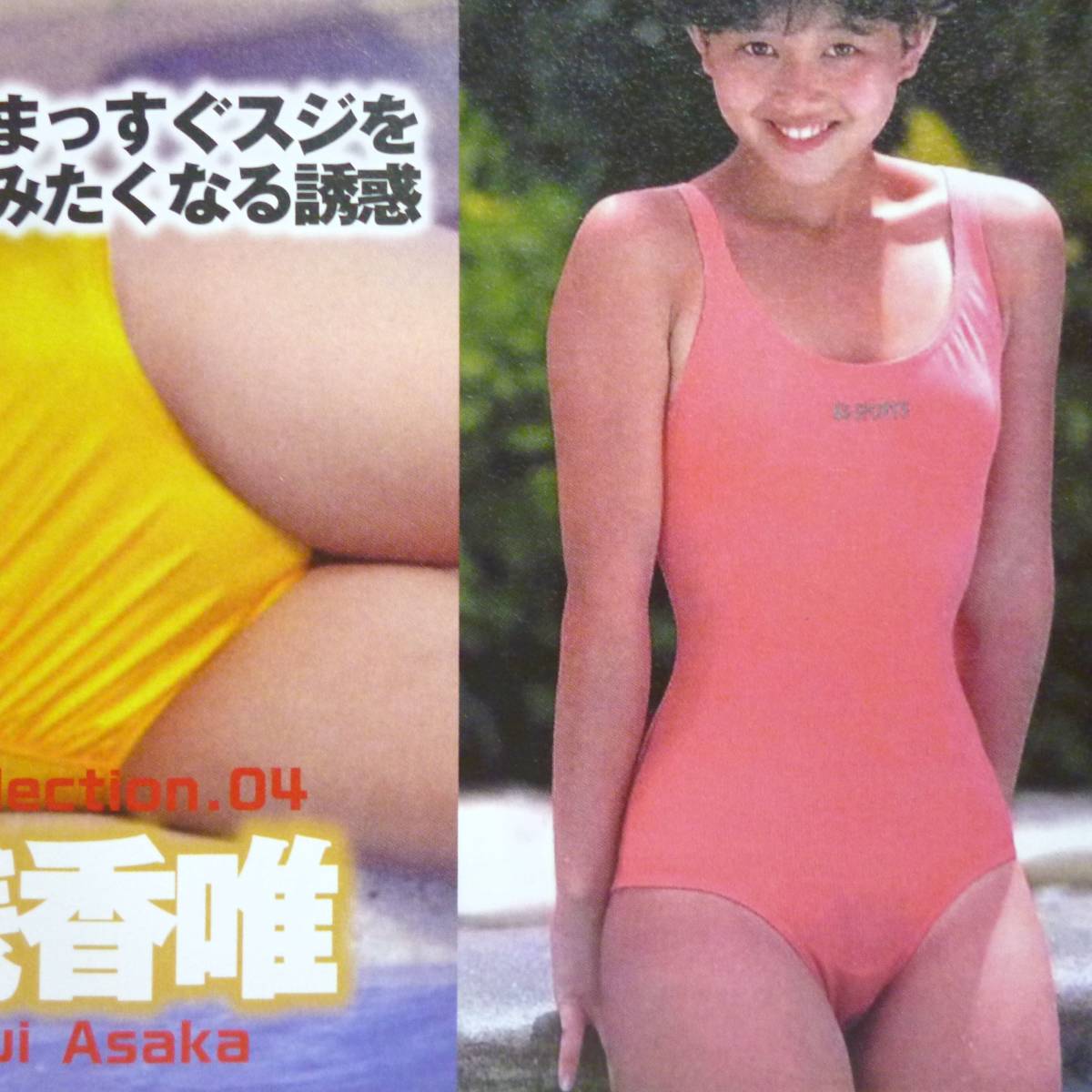 田村英里子水泳大会水着写真Lサイズ76枚 www.albaraka-ins.com