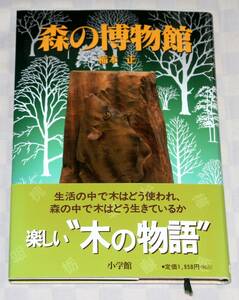 単行本　森の博物館　楽しい”木の物語”　 稲本 正　帯付き　中古本