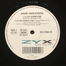 【reggae-pop】David Harleyson / In The Summertime［12inch］オリジナル盤《9595》_画像3