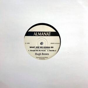 ★ HUGH BROWN WHAT ARE WE GONNA DO オリジナル盤 激マイナー美メロ歌物