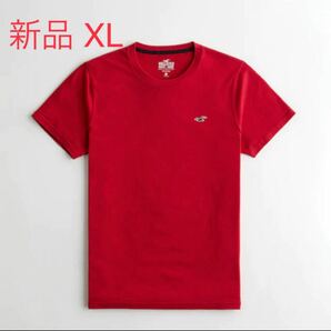 HOLLISTER ホリスター　Tシャツ　XL 半袖Tシャツ Tee