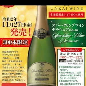 限定販売 デラウェア100% スパークリングワイン 即日発送