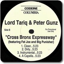 【●16】Lord Tariq & Peter Gunz/Startin' Somethin'/12''/Cross Bronx Expressway/Big Punisher/Fat Joe/Michael Jackson_画像2