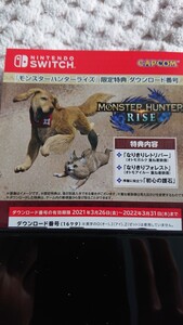 任天堂スイッチ Nintendo Switch モンスターハンターライズ 限定特典 ダウンロード