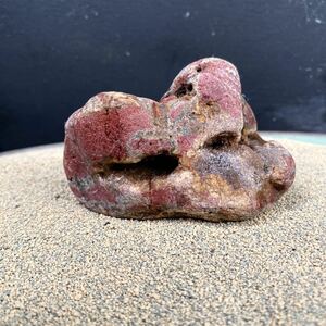 水石　伊豆　赤石　鑑賞石 自然石 海岸石