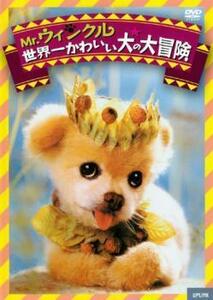 Mr.ウィンクル 世界一かわいい犬の大冒険【字幕】 レンタル落ち 中古 DVD