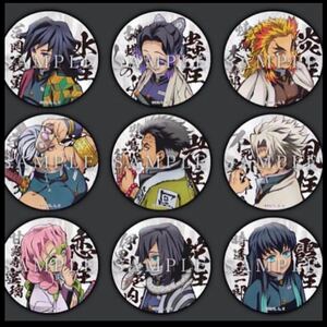 鬼滅の刃 ufotable 缶バッジ 柱合会議蝶屋敷 【新品未開封】柱9個セット