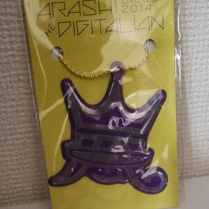 嵐 ツアーグッズ