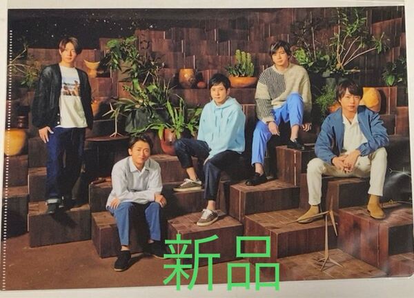 新品 嵐 アラフェス 2020 クリアファイル集合B 送料無料
