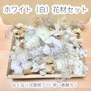 《SALE》花材SALE ホワイト 白 紫陽花 かすみ草 シルバーデージー ヘリクリサム ハーバリウム ワックス サシェ リース