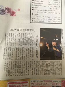 山下達郎 石原さとみ 新聞記事 2020.8.23