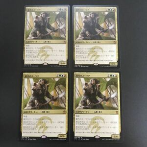 MTG/龍爪のスーラク/Surrak Dragonclaw/日本語/ 4枚