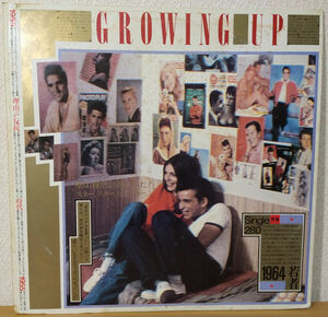V.A. / ゴールデン・メモリーズ グローイング・アップ Growing Up Going Steady 日本盤LP 28・3P-380