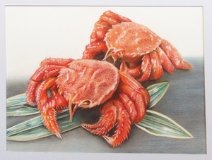 〇色鉛筆画・宅配８０サイズ・食材 食品 鮮魚 カニ 蟹 (165×222) 絵画