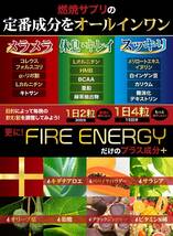 FIRE ENERGY /理想のカラダ作りをサポート_画像2