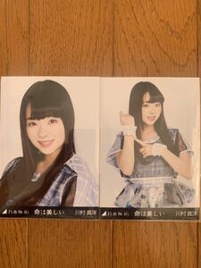 乃木坂46 命は美しい 生写真 川村真洋 アップ ヨリ