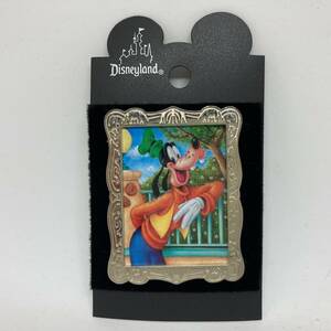 !! 239 DLR Disneyland America pin badge Goofy character ob man sCharacter of the Month February Goofy pin 2000 year 