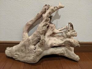 * natural driftwood aquarium 1 point thing aquarium objet d'art art 32×27×10cm Yamato river outfall reptiles interior medium sized 