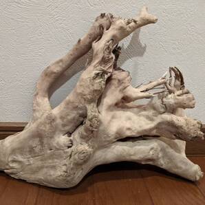 ☆天然流木 水槽 1点物 アクアリウム オブジェ アート 32×27×10cm 大和川河口 爬虫類 インテリア 中型