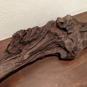 ☆天然流木 水槽 1点物 アクアリウム オブジェ アート 43×10×7cm 大和川河口 爬虫類 インテリア