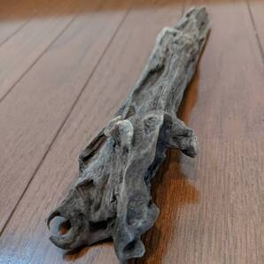 ☆天然流木 水槽 1点物 アクアリウム オブジェ アート 31×5×7.5cm 大和川河口 爬虫類 インテリア 中型
