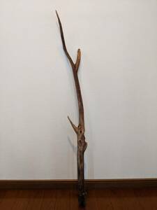 * natural driftwood aquarium 1 point thing aquarium objet d'art art 101×14.5×4.5cm Yamato river outfall reptiles interior large branch 