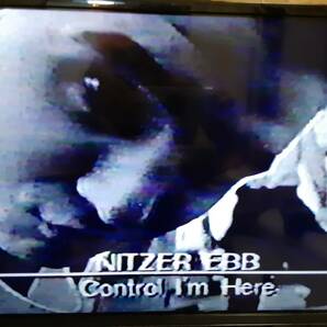 【激レア】NitzerEbb ニッツァーエブ PVとインタビュー集 VHSビデオ の画像8