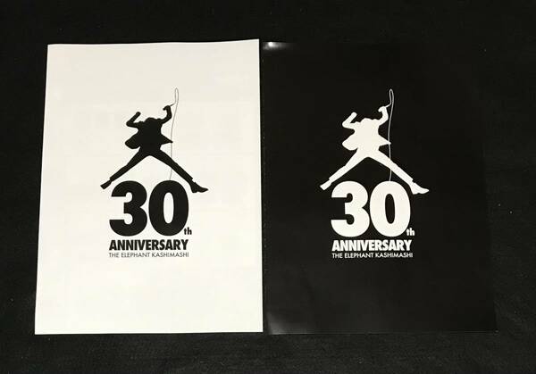 ※送料無料※ エレファントカシマシ 30th ANNIVERSARY THE FIGHTING MAN グッズチラシ A4サイズ エレカシ 宮本浩次 白黒2枚セット