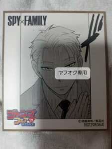 非売品 アニメイト ジャンプフェア 2021 色紙 スパイファミリー SPY×FAMILY