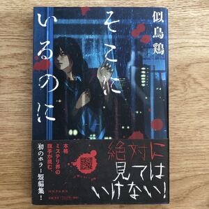 ◎ 似鳥鶏《そこにいるのに》◎河出書房新社hg 初版 (帯・単行本) 送料\150◎